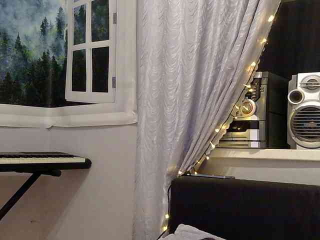 Serseia webcam