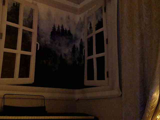 Serseia webcam