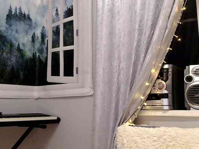 Serseia webcam