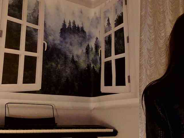 Serseia webcam