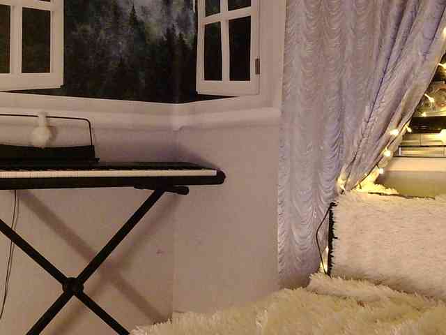 Serseia webcam