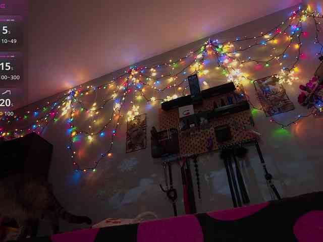 BarbaraViciosa webcam