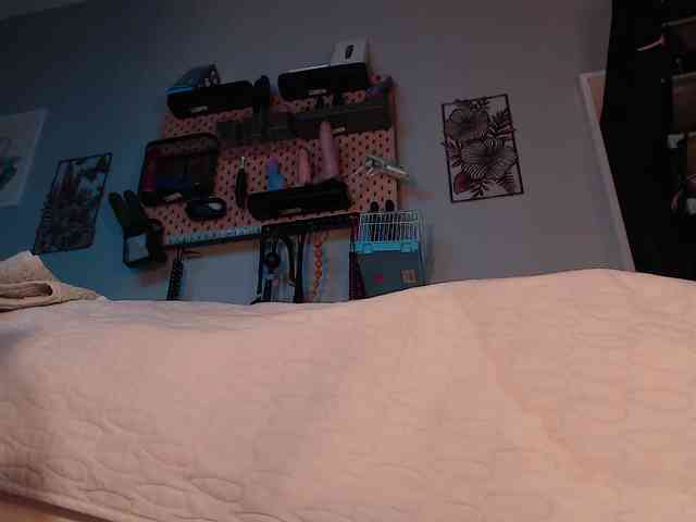 BarbaraViciosa webcam