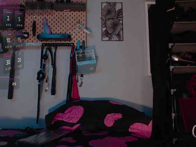 BarbaraViciosa webcam