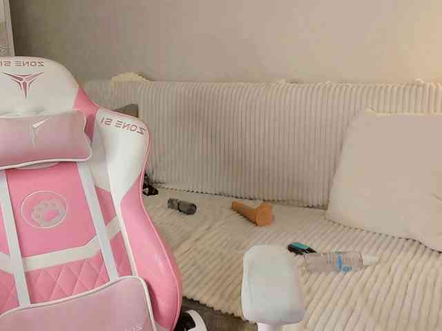 tinyrony webcam