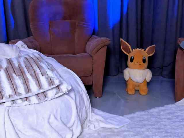 tinyrony webcam