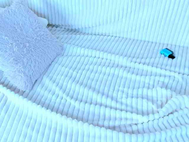 tinyrony webcam