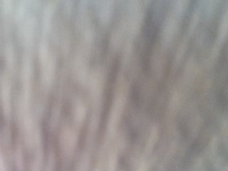 LediSusana Porn Show