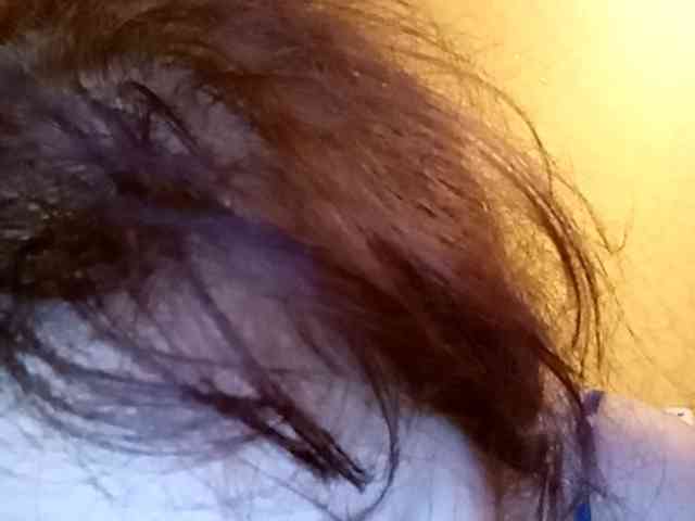 LediSusana webcam