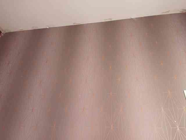 zoe-z webcam