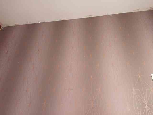 zoe-z webcam
