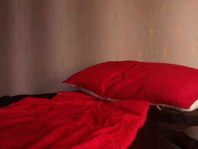 zoe-z webcam