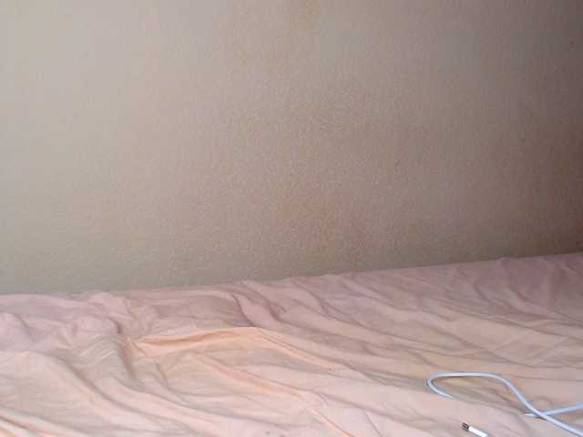 aliceTurner21's BongaCams show and profile