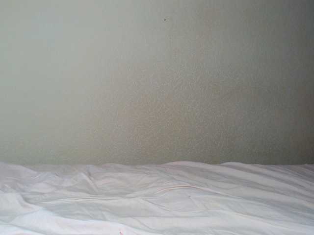 aliceTurner21's BongaCams show and profile