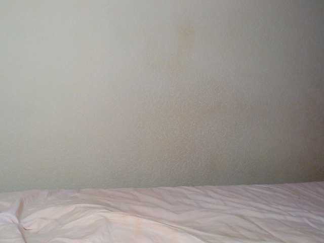 aliceTurner21's BongaCams show and profile