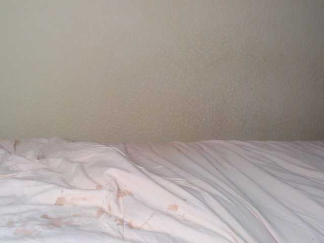 aliceTurner21's BongaCams show and profile