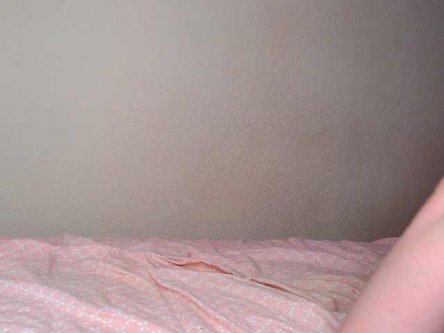 Preview of justalice