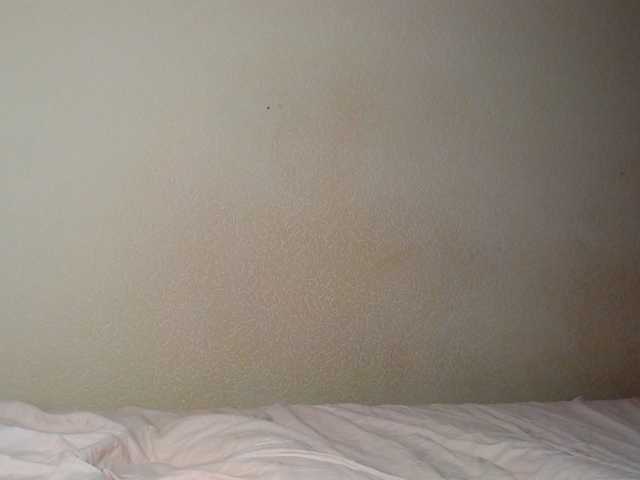 aliceTurner21's BongaCams show and profile