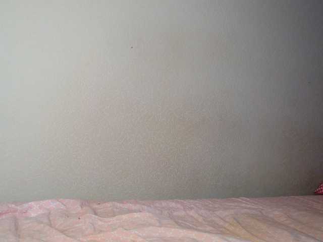 aliceTurner21's BongaCams show and profile