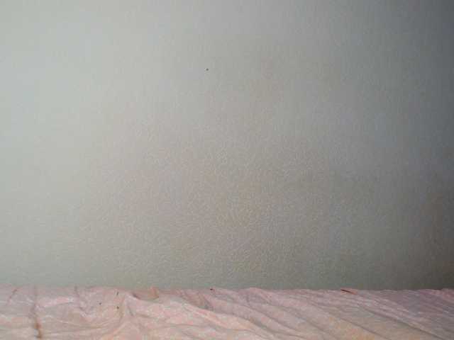 aliceTurner21's BongaCams show and profile