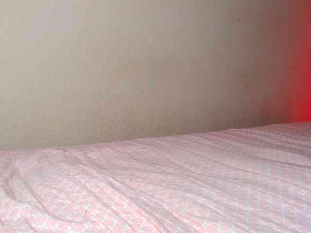 JustAlice webcam