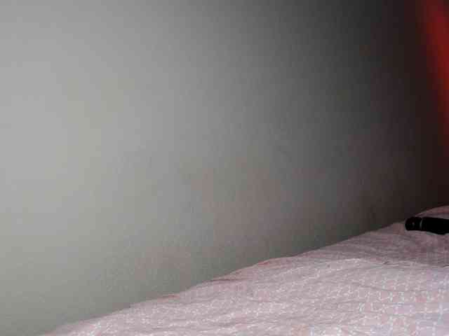 JustAlice webcam