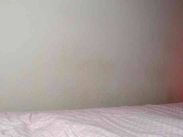 JustAlice webcam