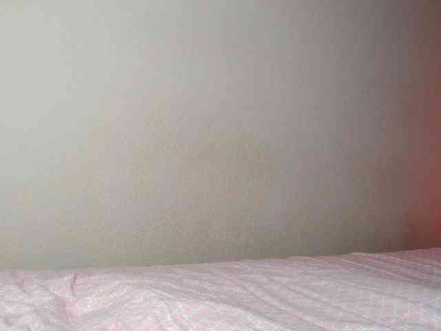 JustAlice webcam