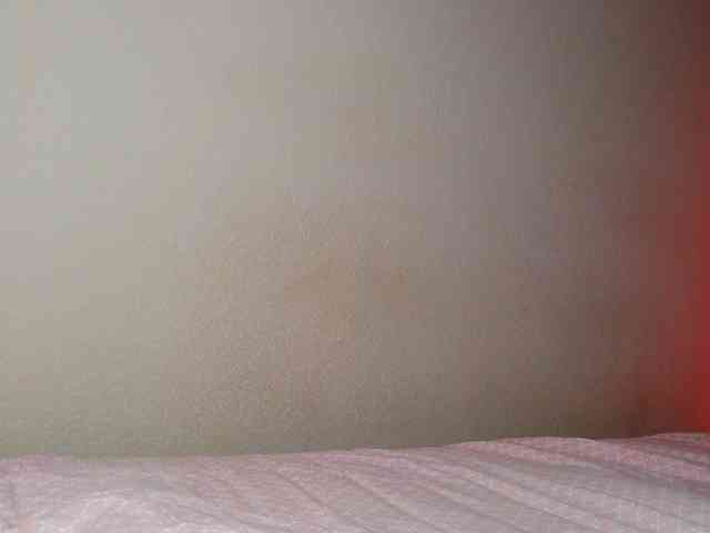JustAlice webcam