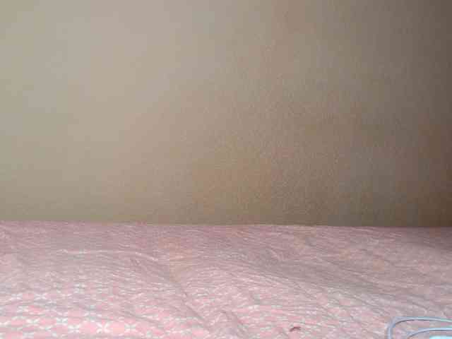 aliceTurner21 aliceTurner21