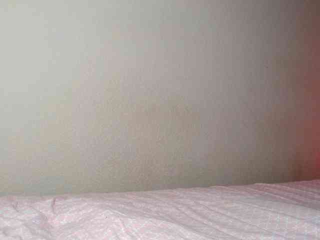 JustAlice webcam