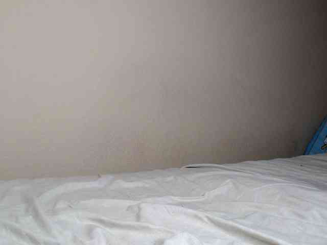 JustAlice webcam