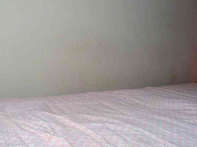 JustAlice webcam