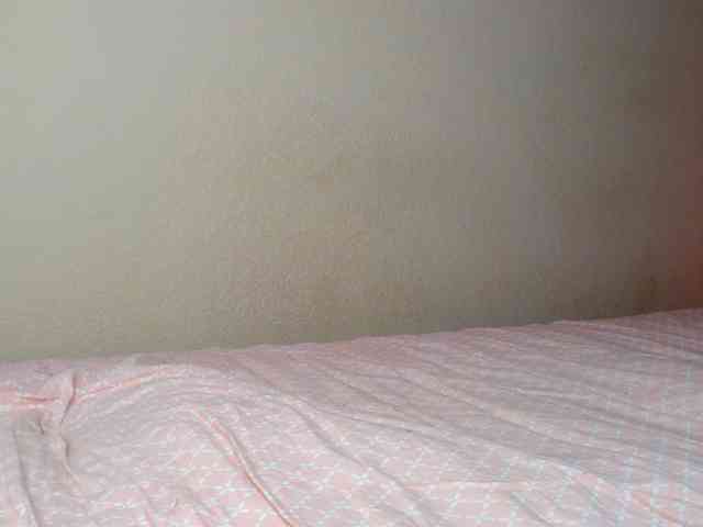 JustAlice webcam