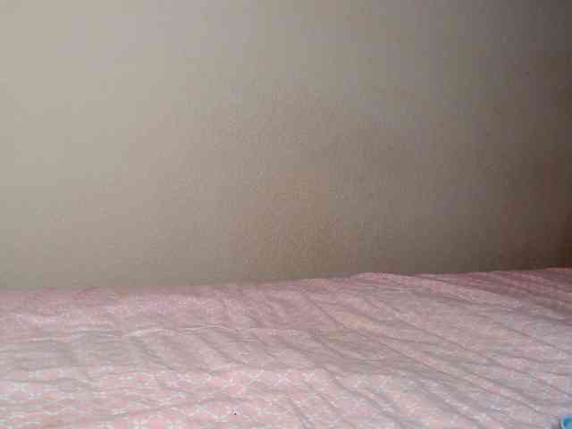 aliceTurner21 aliceTurner21