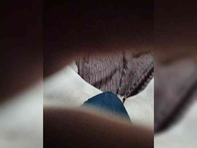 Kissa1971 webcam