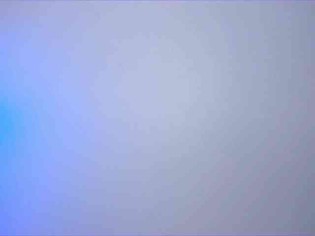 cutePanacea cutePanacea