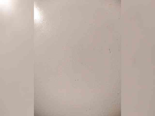live video porn Katy19801