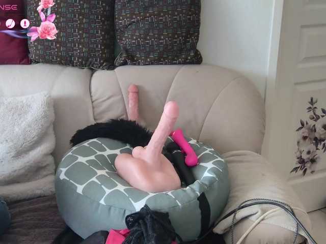 LISACAM2CAM