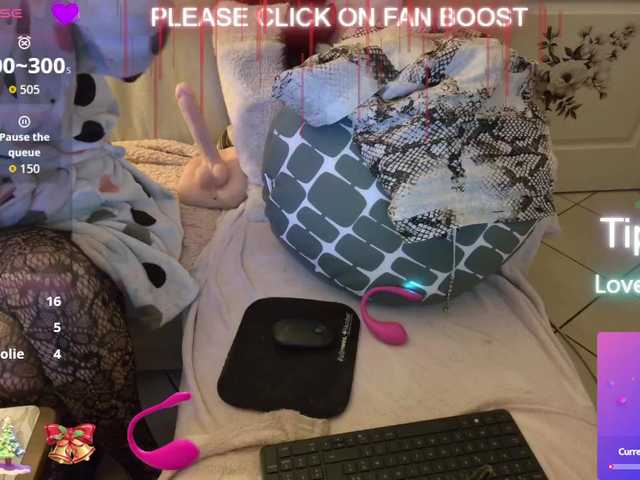 LISACAM2CAM live cam