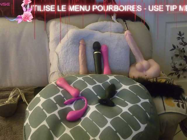 Preview of french-lisa
