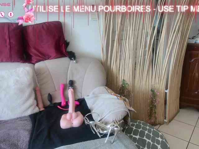 FRENCH-LISA webcam
