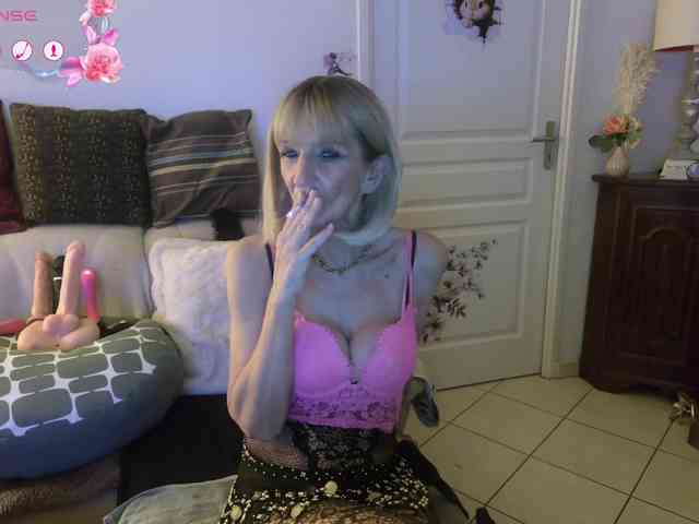 FRENCH-LISA webcam