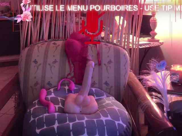 FRENCH-LISA webcam