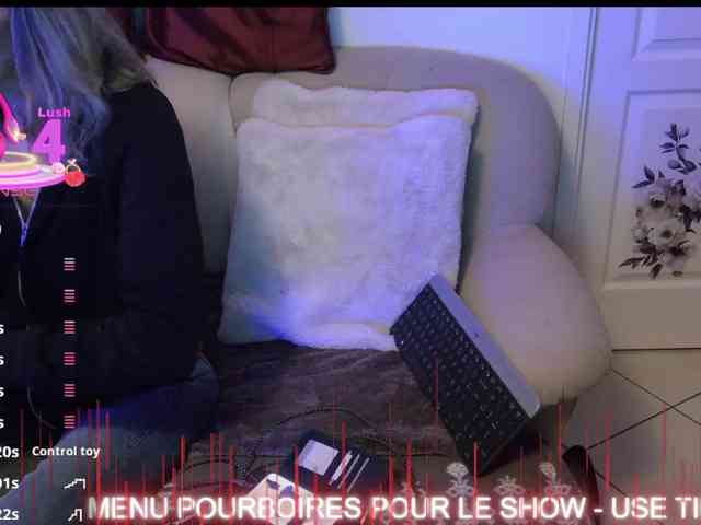 FRENCH-LISA webcam