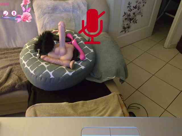 FRENCH-LISA webcam