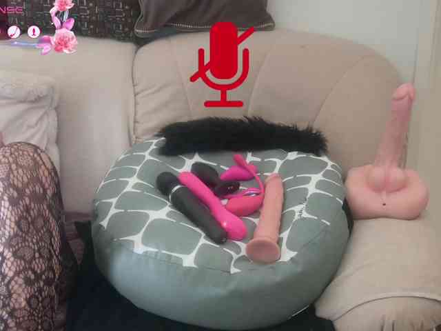 FRENCH-LISA webcam