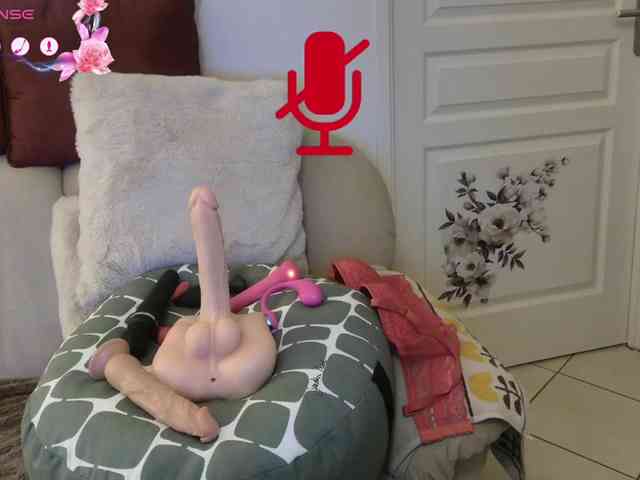 FRENCH-LISA webcam
