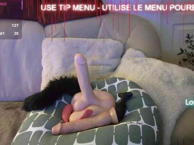 LISACAM2CAM LISACAM2CAM