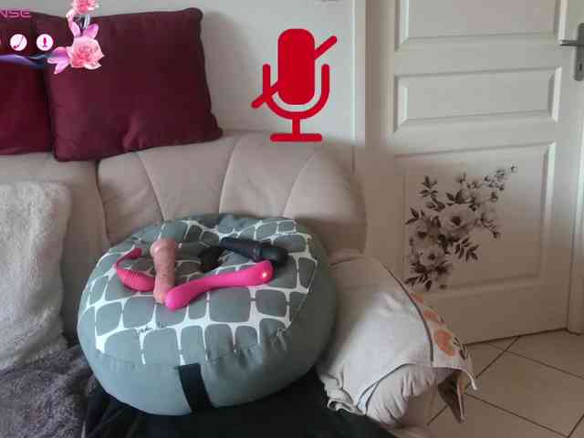 FRENCH-LISA webcam